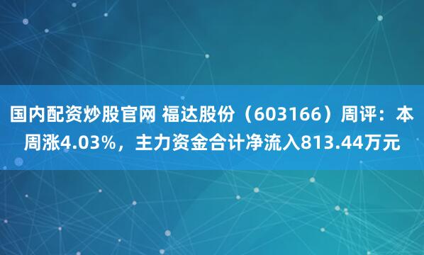 国内配资炒股官网 福达股份（603166）周评：本周涨4.03%，主力资金合计净流入813.44万元
