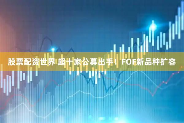 股票配资世界 超十家公募出手！FOF新品种扩容