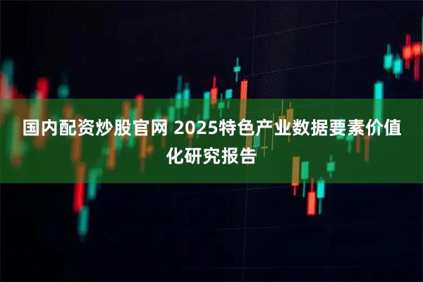 国内配资炒股官网 2025特色产业数据要素价值化研究报告