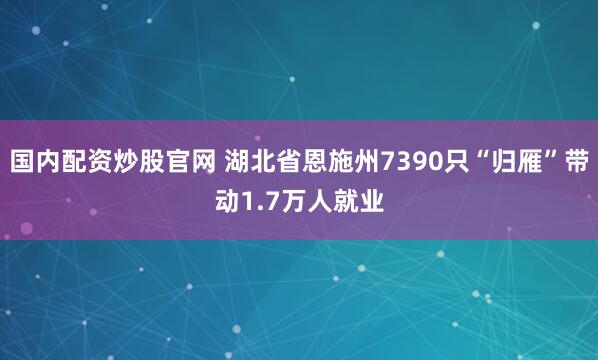 国内配资炒股官网 湖北省恩施州7390只“归雁”带动1.7万人就业